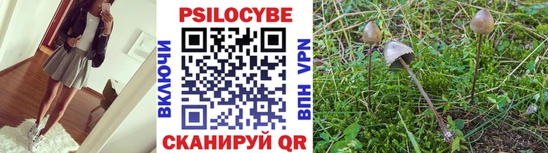 сколько стоит  Нефтекамск  Галлюциногенные грибы GOLDEN TEACHER 