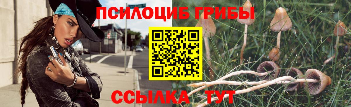 Нефтекамск  Галлюциногенные грибы Magic Shrooms  Вход с VPN 